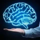 چرا مغزمان کوچکتر شده است؟ چرا مغزمان کوچکتر شده است؟