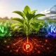 what is npk fertilizer 80x80